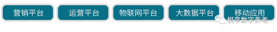 悅享數(shù)字 | 數(shù)字驅動健康 智慧賦能養(yǎng)老(圖3)